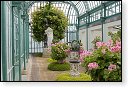 Serres royales de Laeken Koninklijke laken Koninklijk belgie serre kasteel hdr art nouveau tuin bloemen bloem architect Alphonse Balat Koning Leopold II plantencollectie